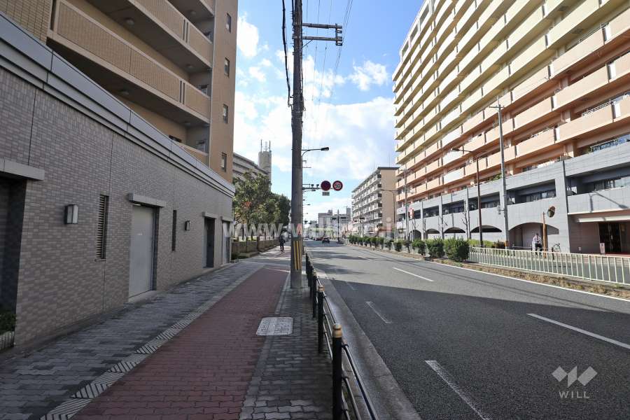 敷地北側の前面道路（東側から）
