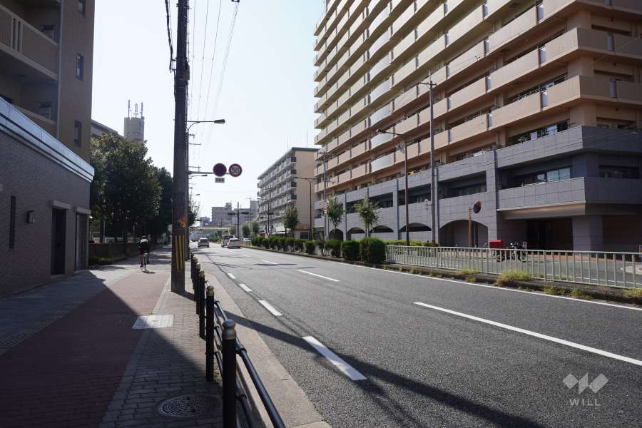 敷地南側の前面道路(東側から)