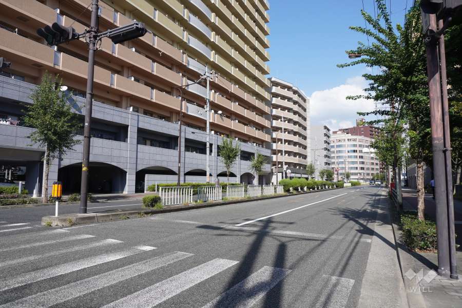 敷地南側の前面道路(西側から)
