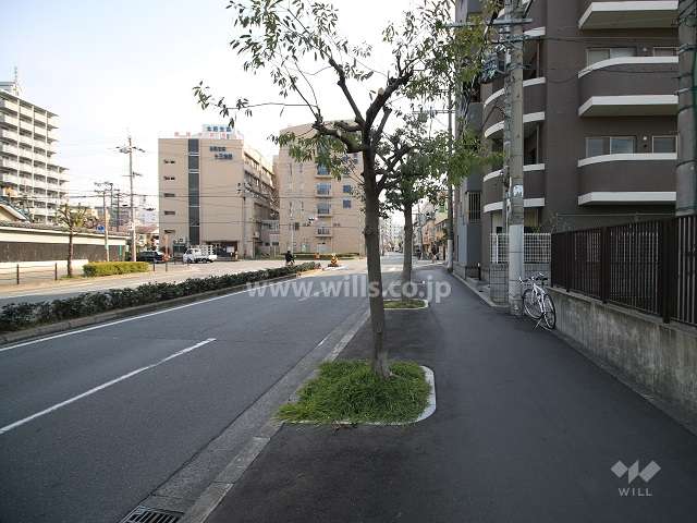 敷地北側の前面道路（西側から）