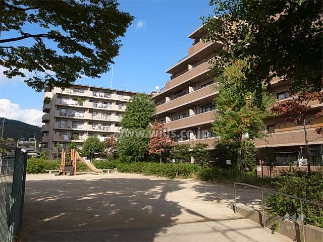 敷地西側の公園