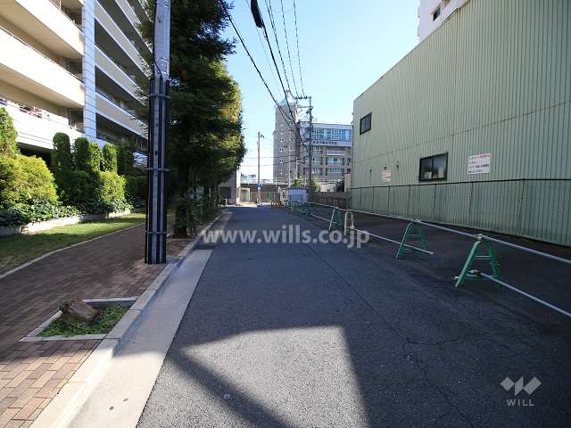 敷地南側の前面道路（西側から）