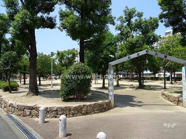 敷地の周辺には大きな公園があります。