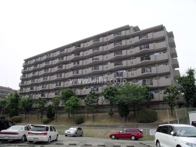 南東側から見た外観（周りより一段敷地が高くなっています）