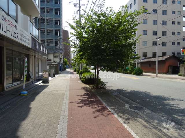 敷地北側の前面道路(東側から)