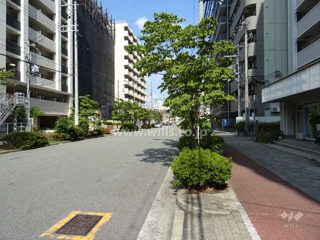 北側前面道路(西側から)