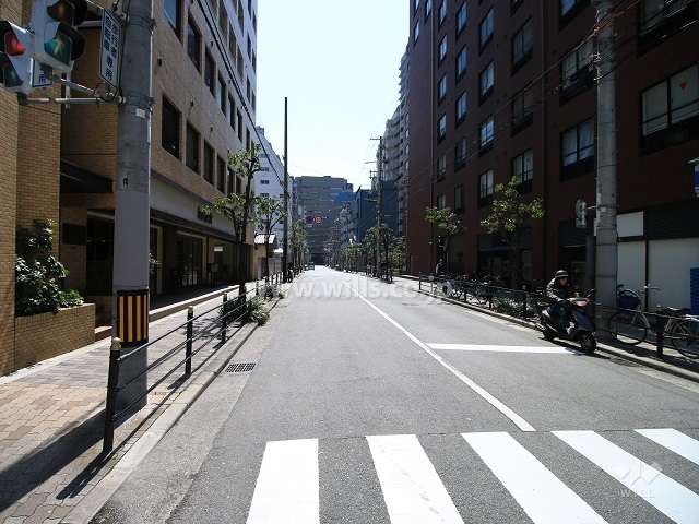 敷地西側の前面道路（北側から）