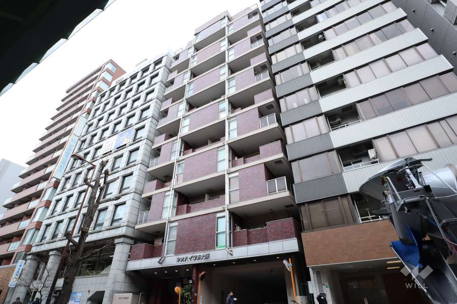 ネオハイツ新大阪の外観(南西側から）