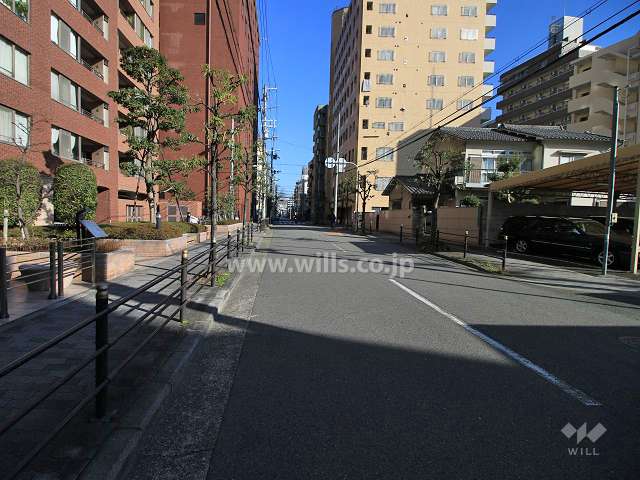 敷地東側の前面道路（南側から）