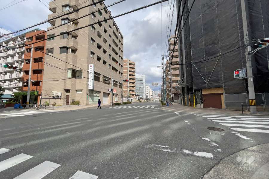敷地北側の前面道路(西側から)