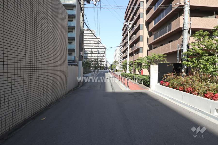 敷地の西側前面道路（南側から）