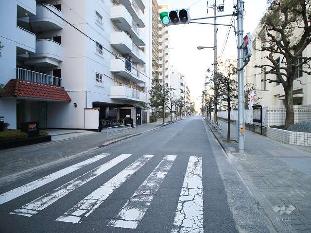 敷地北側の前面道路（東側から）