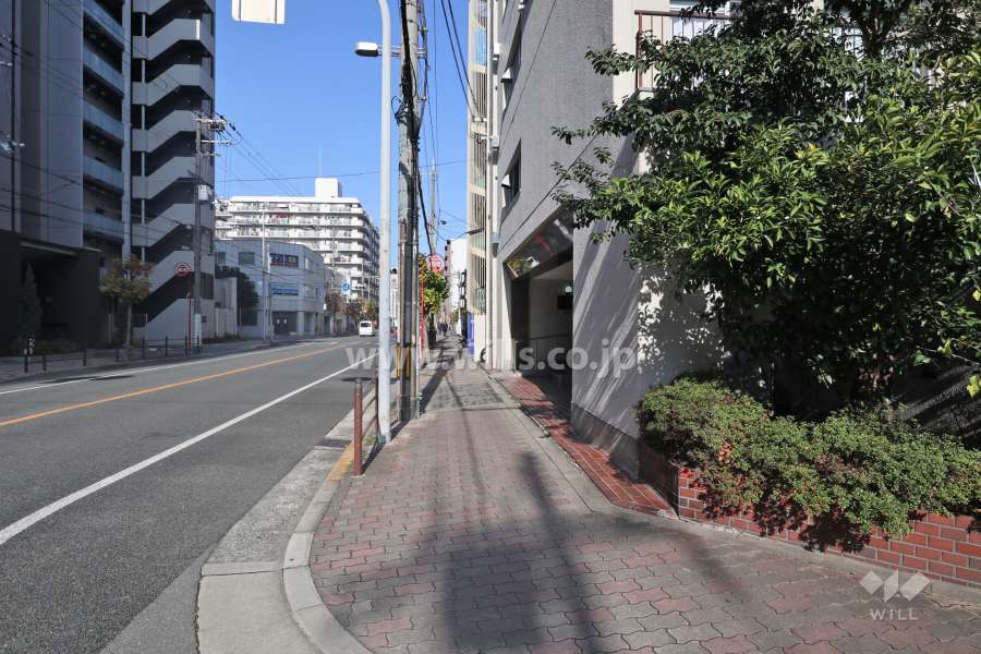 敷地の西側前面道路（南側から）