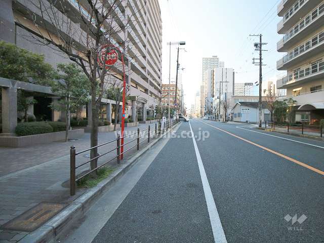 敷地側の前面道路（側から）