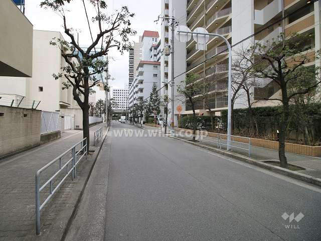敷地北側の前面道路（西側から）