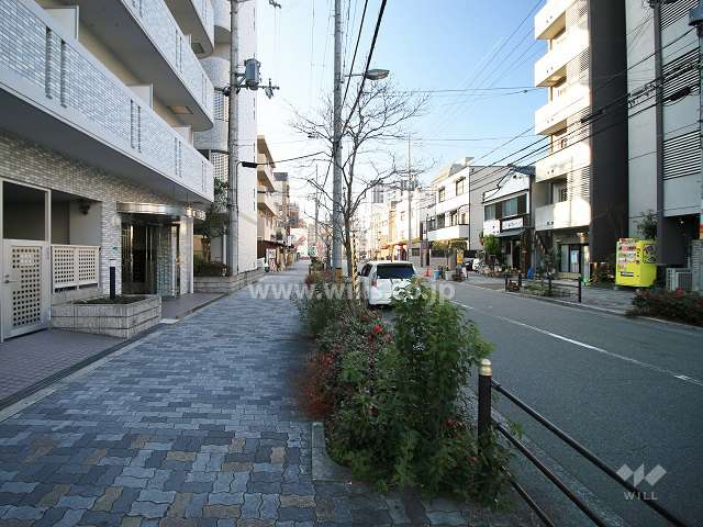 敷地西側の前面道路（北側から）
