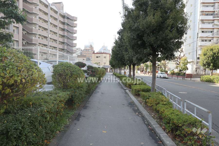 敷地北側の前面道路（東方向から）
