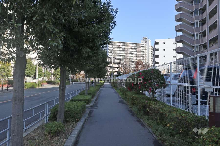 敷地北側の前面道路（西方向から）
