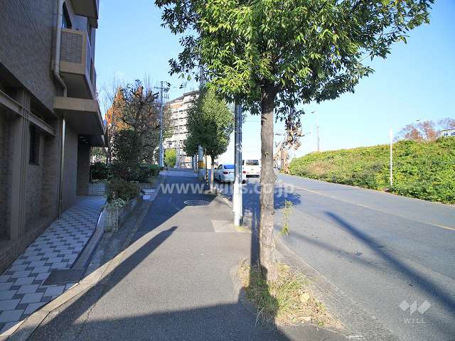 敷地北側の前面道路（東側から）