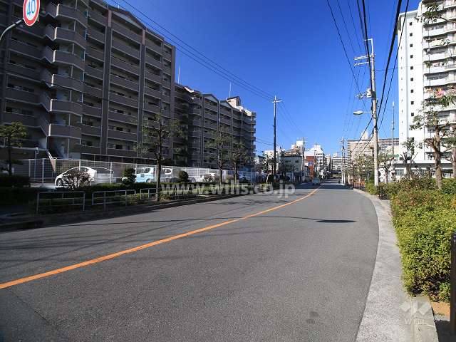 敷地北側の前面道路（東側から）