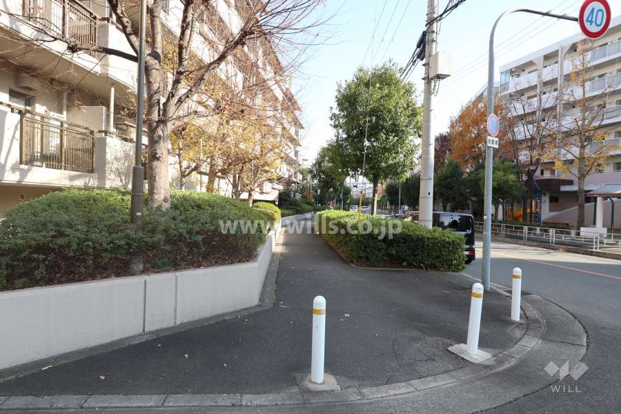 敷地の南側前面道路（西側から）