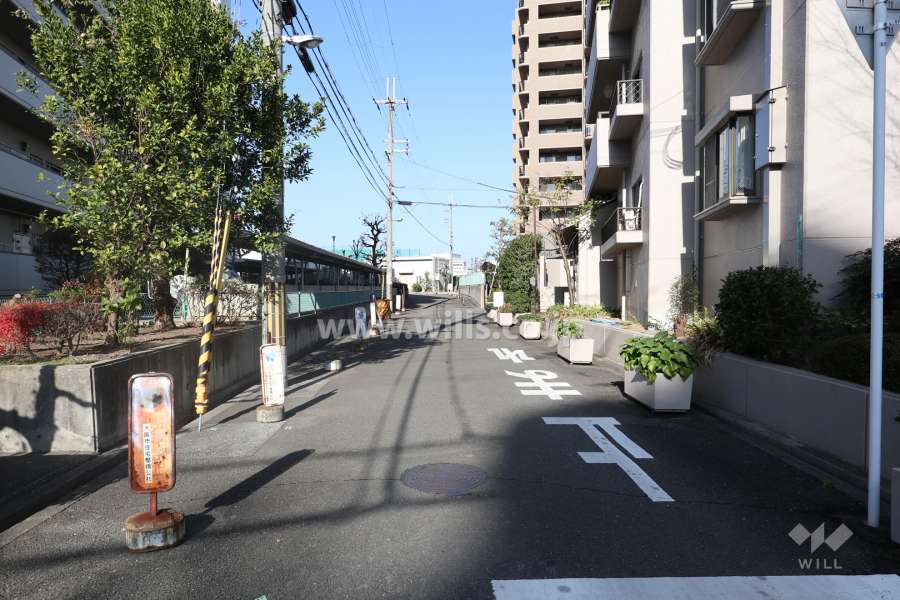 敷地の西側前面道路（南側から）