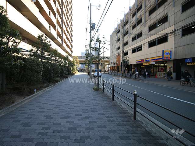 敷地南側の前面道路（西側から）