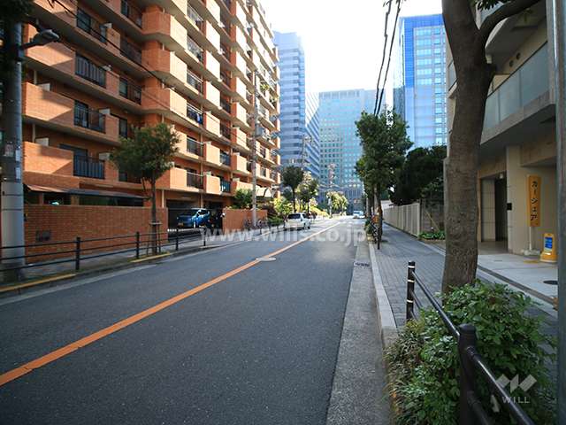 敷地南側の前面道路（西側から）