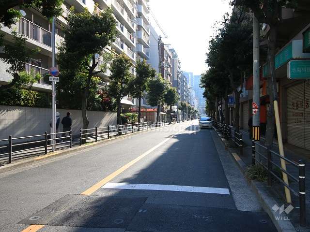 敷地南側の前面道路（西側から）
