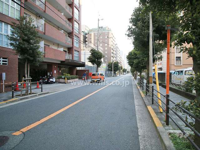 敷地南側の前面道路（西側から）