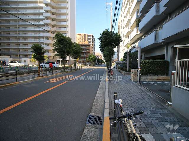 敷地南側の前面道路（東側から）