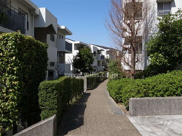 33号棟南側の通路