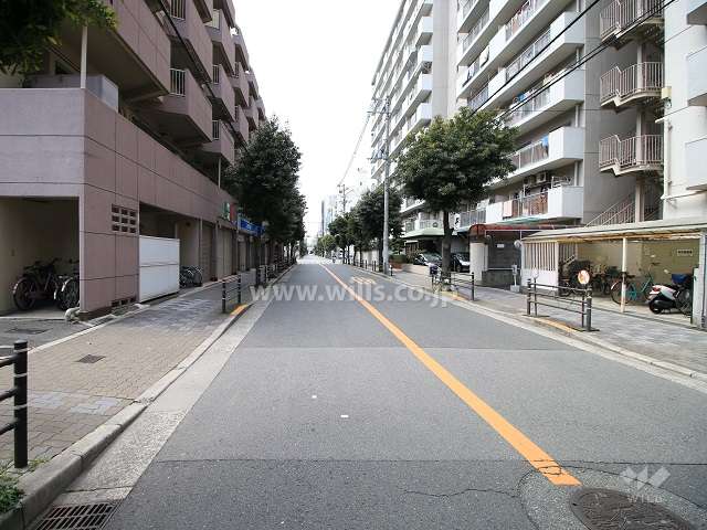 敷地北側の前面道路（東側から）