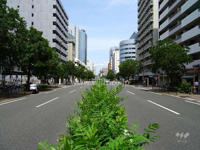 敷地北側の前面道路（4車線のバス通り）