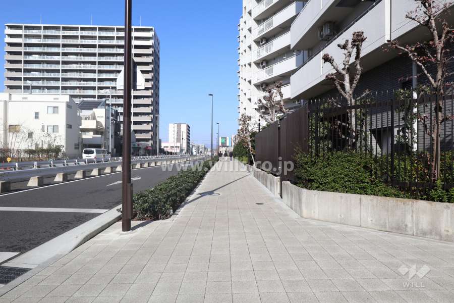 敷地の西側前面道路（南側から）