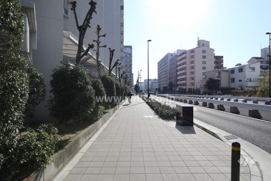 敷地の西側前面道路（北側から）