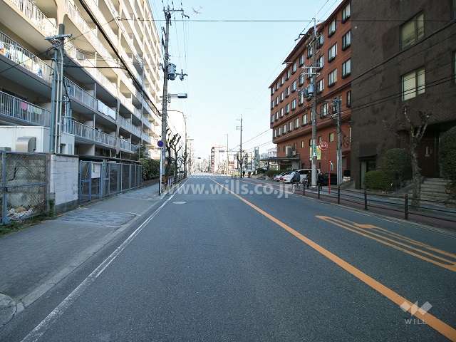 敷地東側の前面道路（南側から）