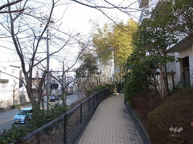 北側は二車線のバス通りです。