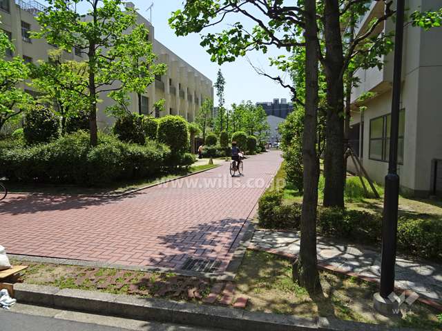 敷地東側の通路