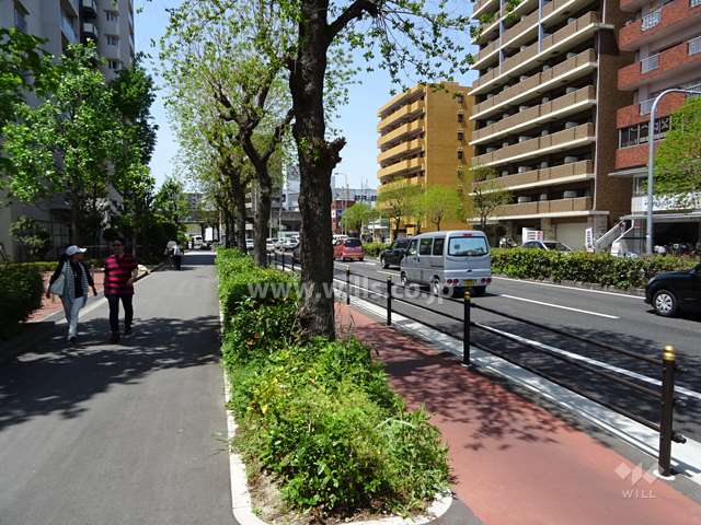 敷地北側の前面道路