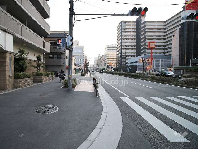 敷地南側の前面道路（西側から）