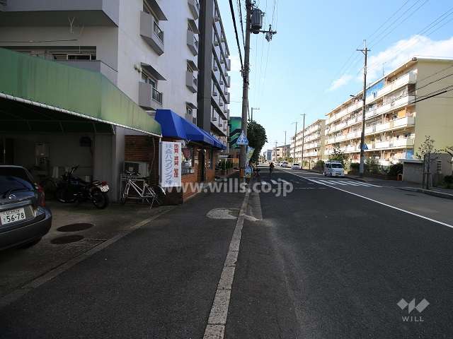 敷地北側の前面道路