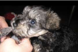 田中 丹梨の好きなもの1