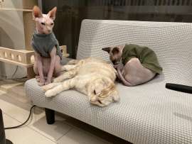 永柳 遥菜の好きなもの1