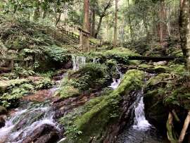 永柳 遥菜の好きなもの2