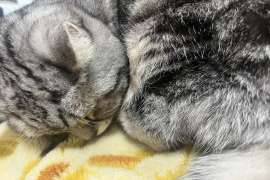 松葉 悠生の好きなもの1